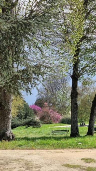 Pavillon Des Ecureuils Au Chateau Royal De Benays Benais ภายนอก รูปภาพ