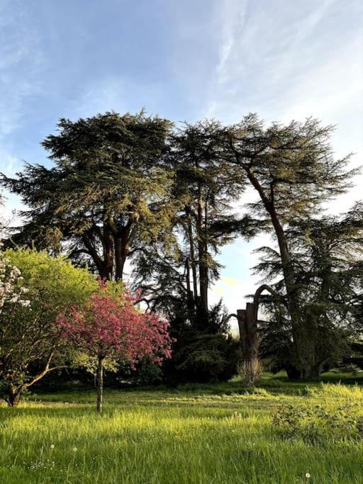 Pavillon Des Ecureuils Au Chateau Royal De Benays Benais ภายนอก รูปภาพ